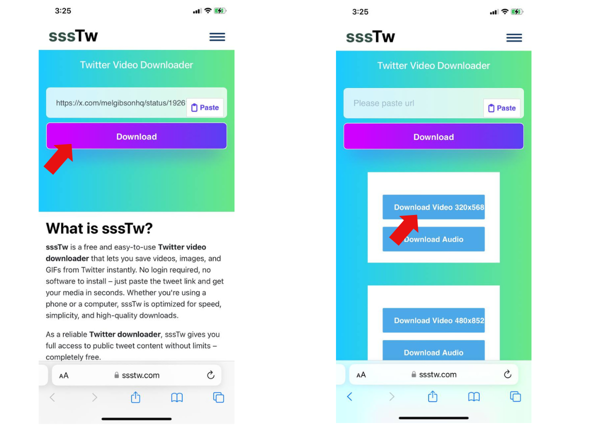 Paste the Link into sssTw