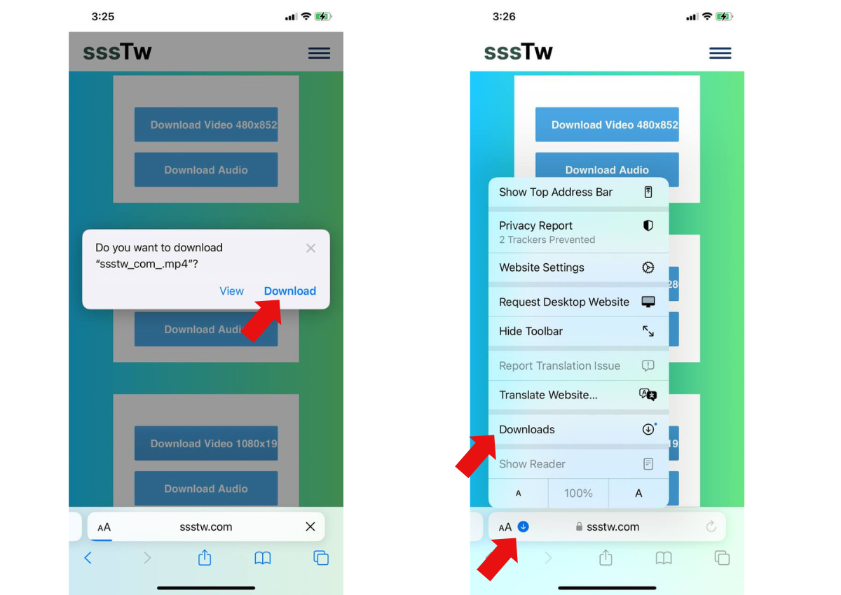 Paste the Link into sssTw