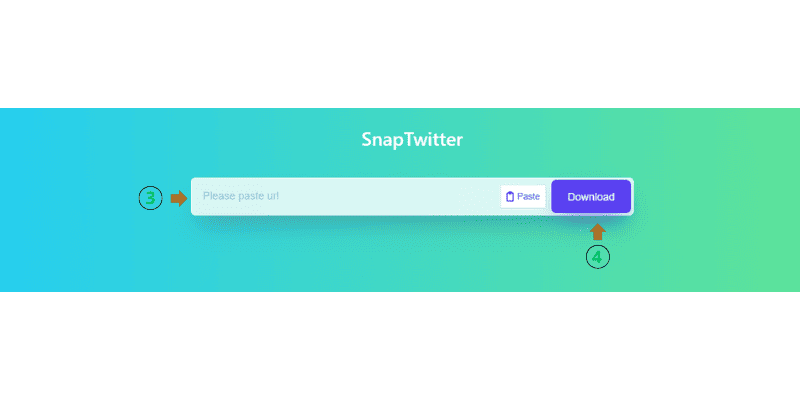 Paste the link into the input box on SnapTwitter